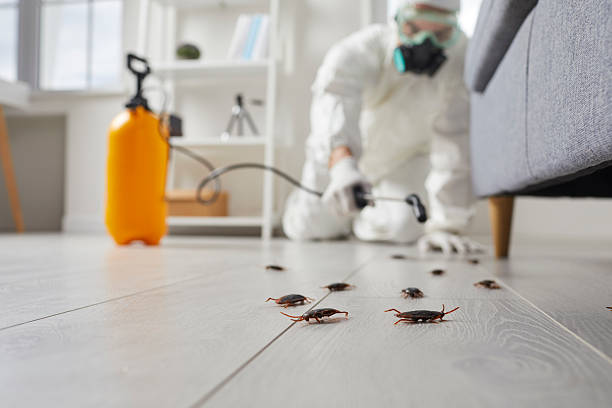 Commercial Kitchen Cockroach Control in Kokomo